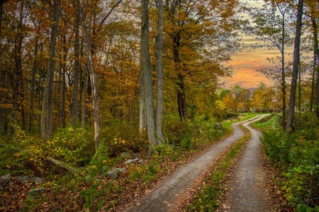 Entry image for Going to the Pumpkin Patch. Clicking this image will show a larger photo