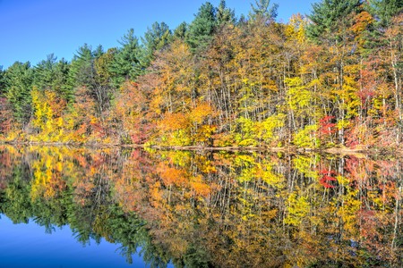 Entry image for Hope Lake. Clicking this image will show a larger photo