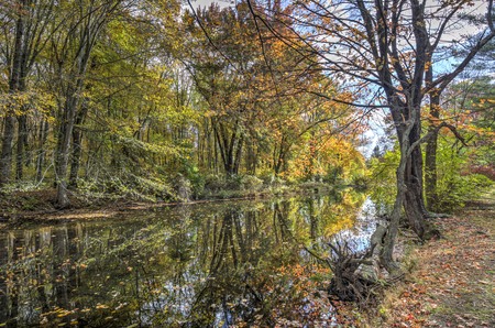 Entry image for Springer Glen Open Space Creek. Clicking this image will show a larger photo
