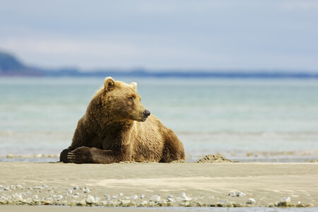 Entry image for At the Beach. Clicking this image will show a larger photo