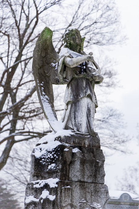 Entry image for Snow Covered Angel. Clicking this image will show a larger photo