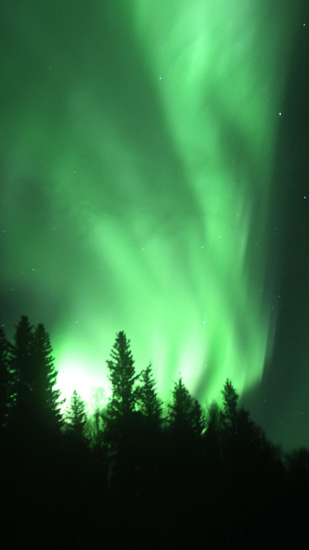 Entry image for Aurora Flames. Clicking this image will show a larger photo