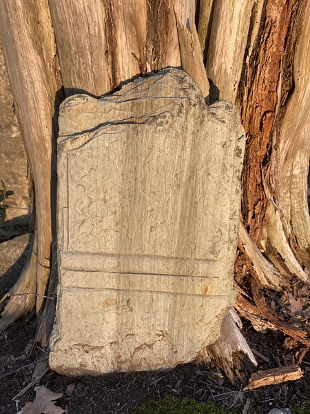 Entry image for Time displacement . Clicking this image will show a larger photo