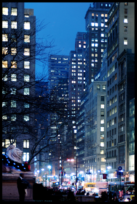 Entry image for Fifth Avenue Christmas. Clicking this image will show a larger photo
