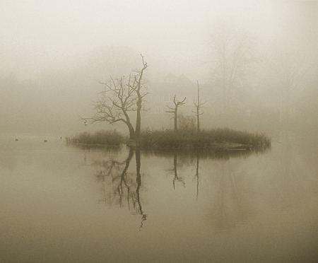Entry image for Grays Creek. Clicking this image will show a larger photo