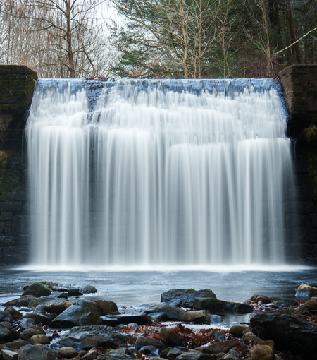 Entry image for Daydreaming. Clicking this image will show a larger photo
