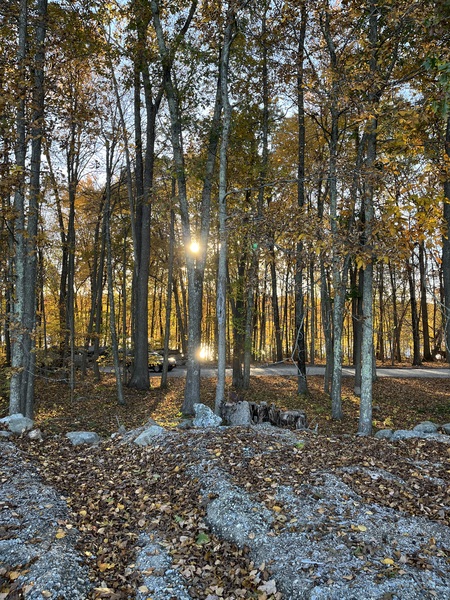 Entry image for Peeking Sunset. Clicking this image will show a larger photo