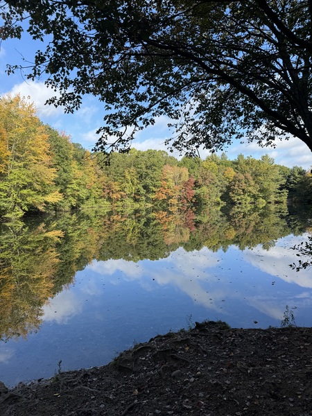 Entry image for Reflecting Autumn Leaves . Clicking this image will show a larger photo