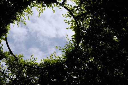 Entry image for Gateway to the Sky. Clicking this image will show a larger photo