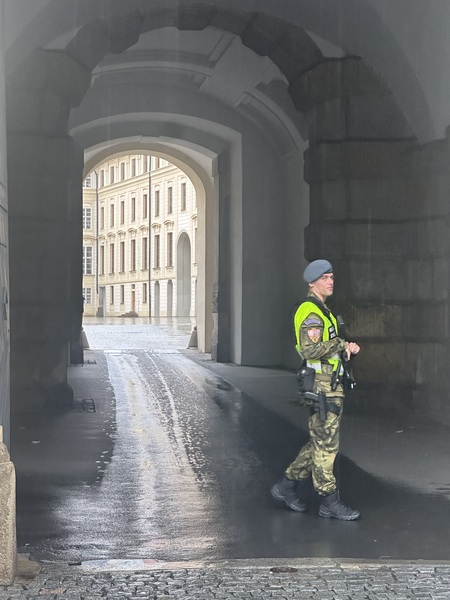 Entry image for On Guard. Clicking this image will show a larger photo