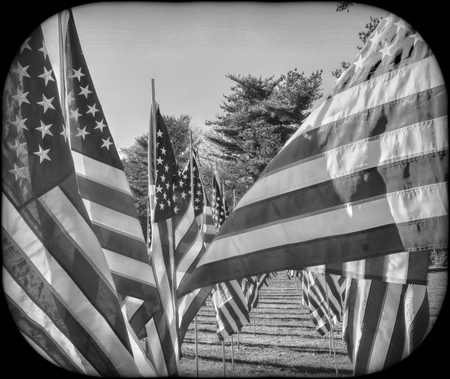 Entry image for Memorial. Clicking this image will show a larger photo