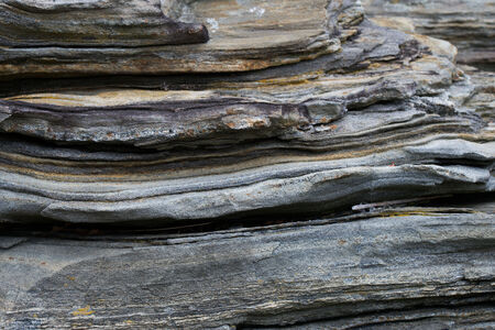 Entry image for Prolong. Clicking this image will show a larger photo