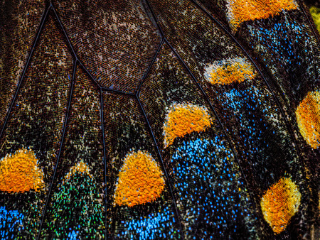 Entry image for Living Tapestry. Clicking this image will show a larger photo