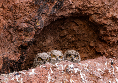 Entry image for Hole in the Rock. Clicking this image will show a larger photo