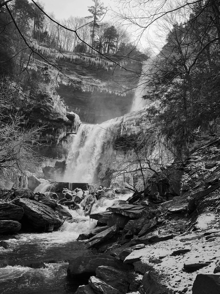 Entry image for Frozen Beauty. Clicking this image will show a larger photo