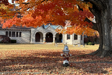 Entry image for Standing Guard. Clicking this image will show a larger photo