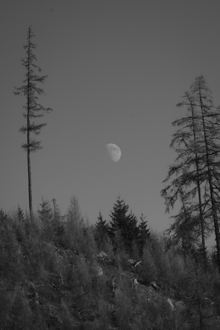 Entry image for Moonrise in the Mountains. Clicking this image will show a larger photo