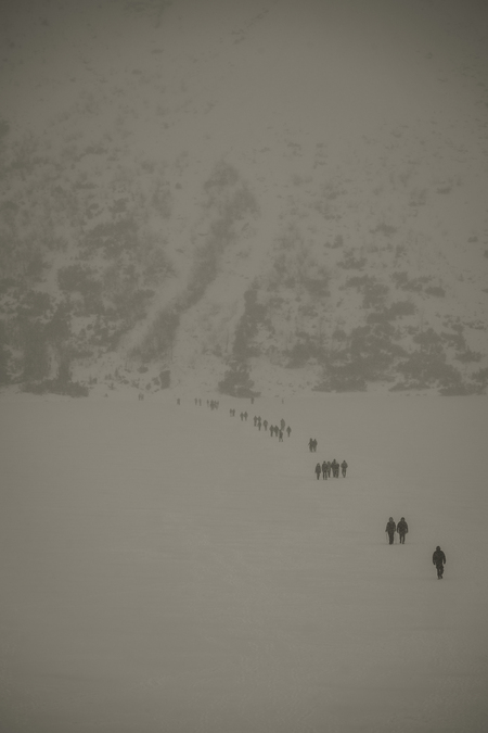 Entry image for Arctic Expedition. Clicking this image will show a larger photo