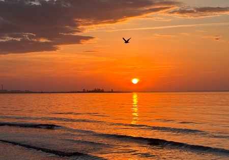 Entry image for Sunrise Fly-by. Clicking this image will show a larger photo