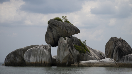 Entry image for A Precarious Balance. Clicking this image will show a larger photo