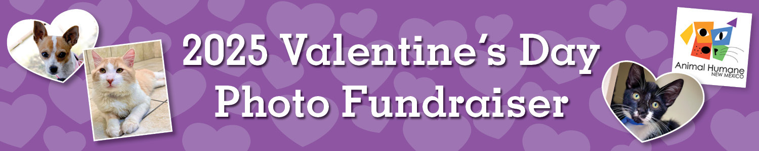 Banner for Animal Humane New Mexico Photo Fundraiser