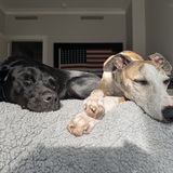 Entry image for Rose and Walter