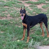 Entry image for JAKE