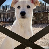 Entry image for Macie