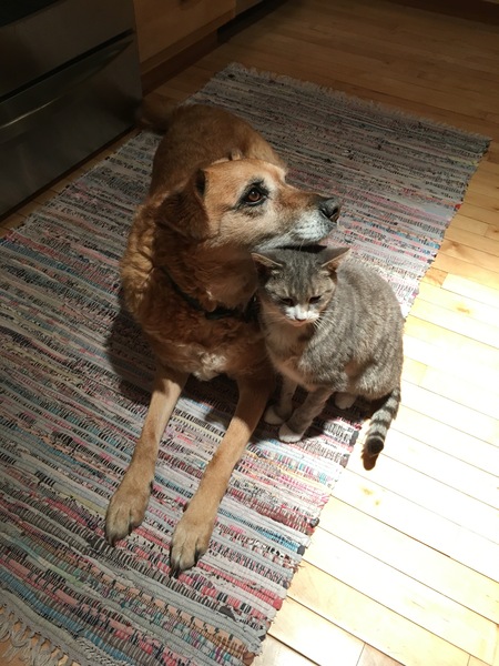 Entry image for Mony and Tinny. Clicking this image will show a larger photo