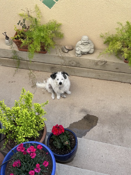 Entry image for Yuki. Clicking this image will show a larger photo