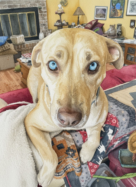 Entry image for Lily. Clicking this image will show a larger photo