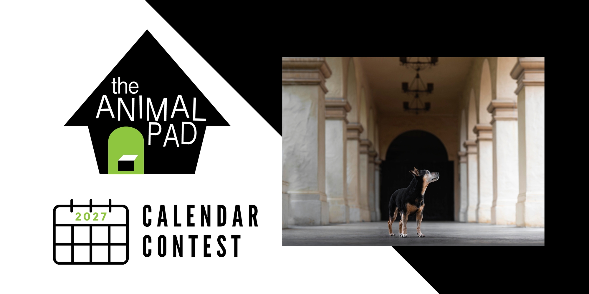 Banner for The Animal Pad 2027 Calendar Contest