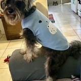 Entry image for Barney