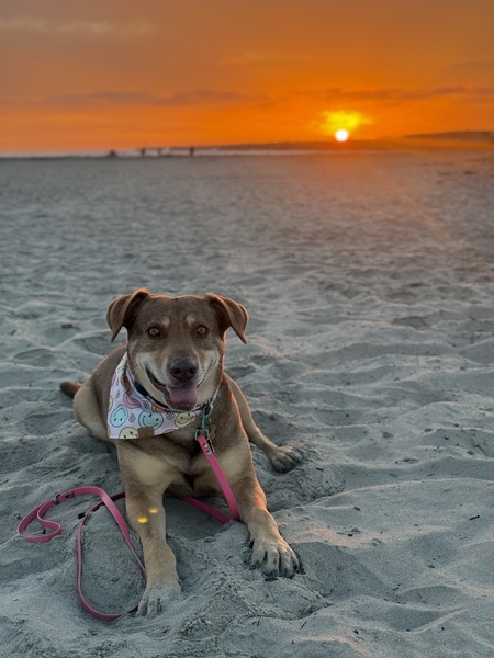 Entry image for Hugs. Clicking this image will show a larger photo