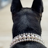 Entry image for Cali