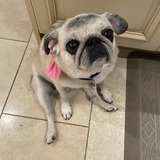 Entry image for Louise