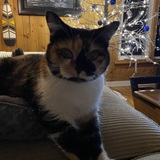 Entry image for Smudge