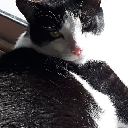 Entry image for Spirit . Clicking this image will show a larger photo