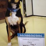 Entry image for Chico