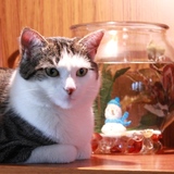 Entry image for Precious