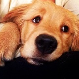 Entry image for Bailey