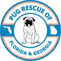 Logo for 2027 Pug Rescue of Florida & Georgia Calendar Contest