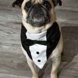 Entry image for Mister Dinkleman
