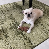 Entry image for Jake