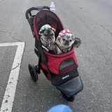 Entry image for Cooper and Buckeye 