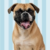 Entry image for Tucker