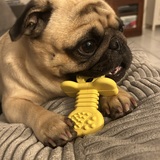 Entry image for Biscuit 