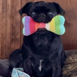 Entry image for Lily
