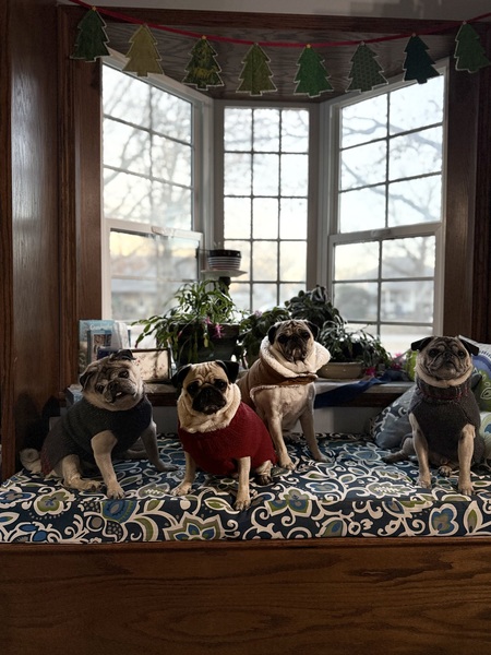 Entry image for Chewy, Pamela, Lambeau, Bruno. Clicking this image will show a larger photo