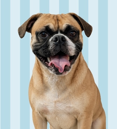 Entry image for Tucker. Clicking this image will show a larger photo